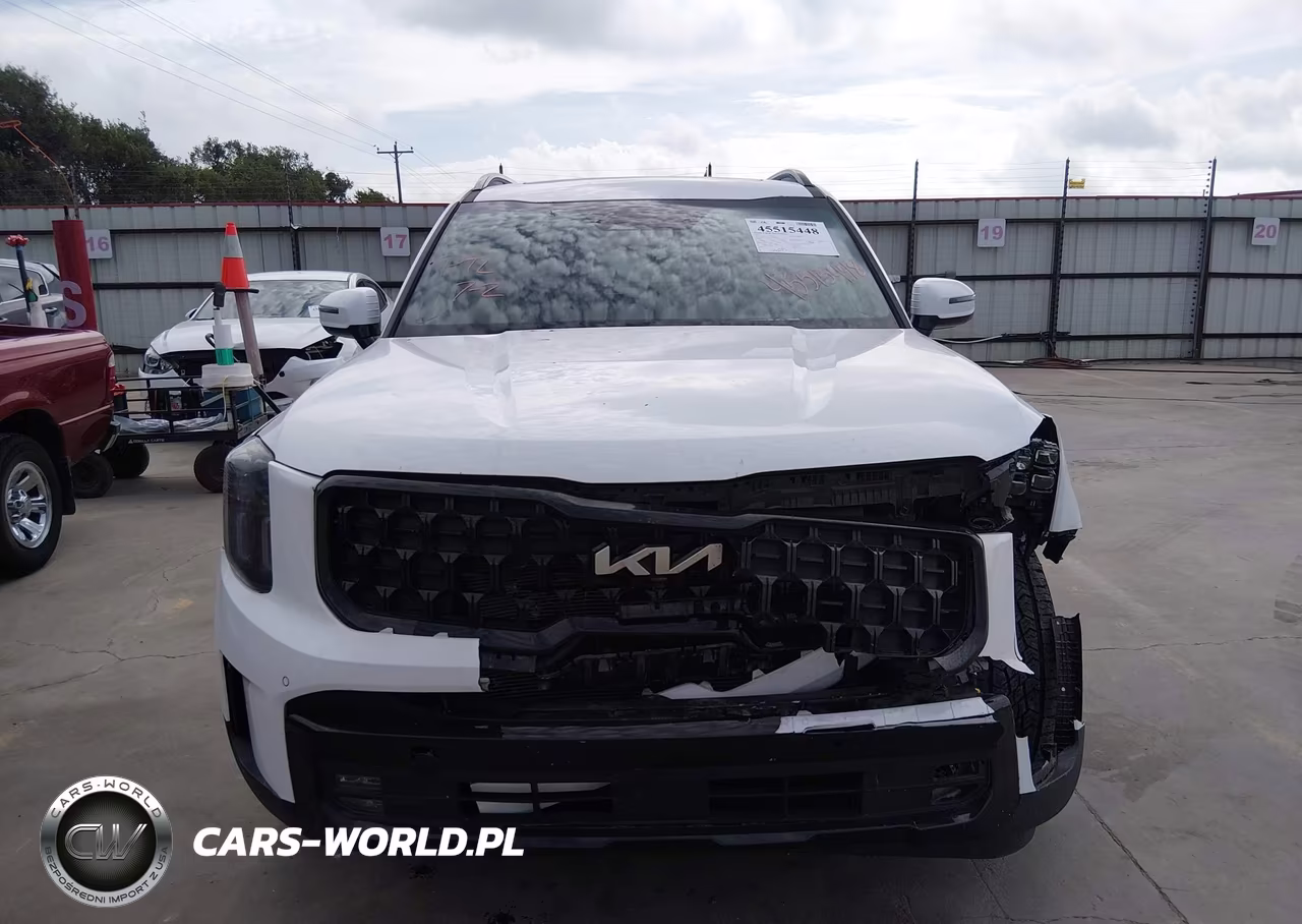 2024 Kia Telluride Sx Prestige X-Pro VIN:5XYP5DGC2RG497860 - 12