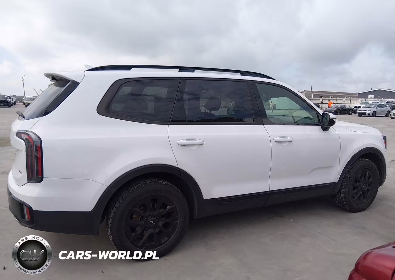 2024 Kia Telluride Sx Prestige X-Pro VIN:5XYP5DGC2RG497860 - 13