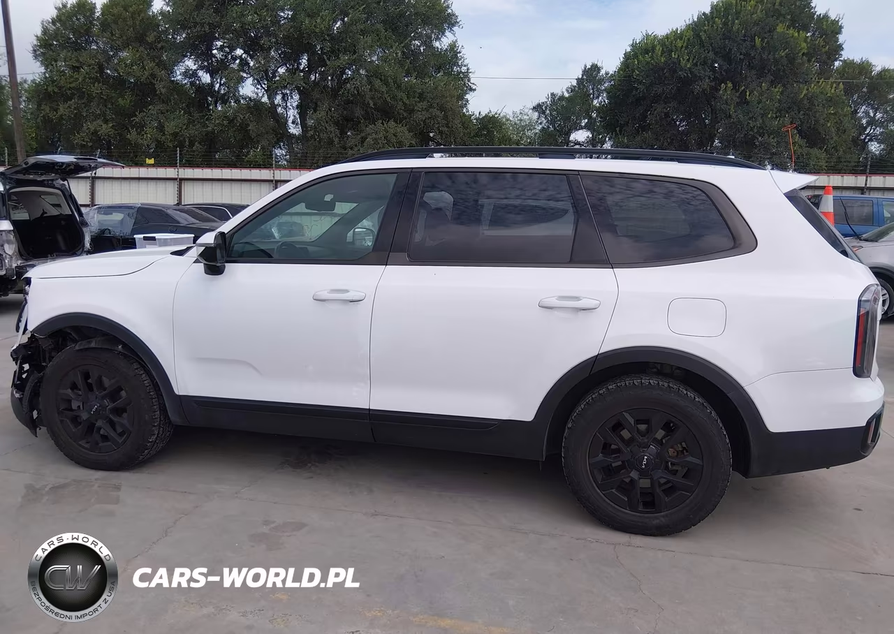 2024 Kia Telluride Sx Prestige X-Pro VIN:5XYP5DGC2RG497860 - 14