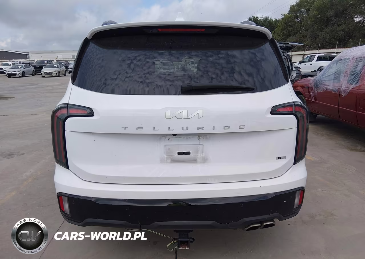2024 Kia Telluride Sx Prestige X-Pro VIN:5XYP5DGC2RG497860 - 16