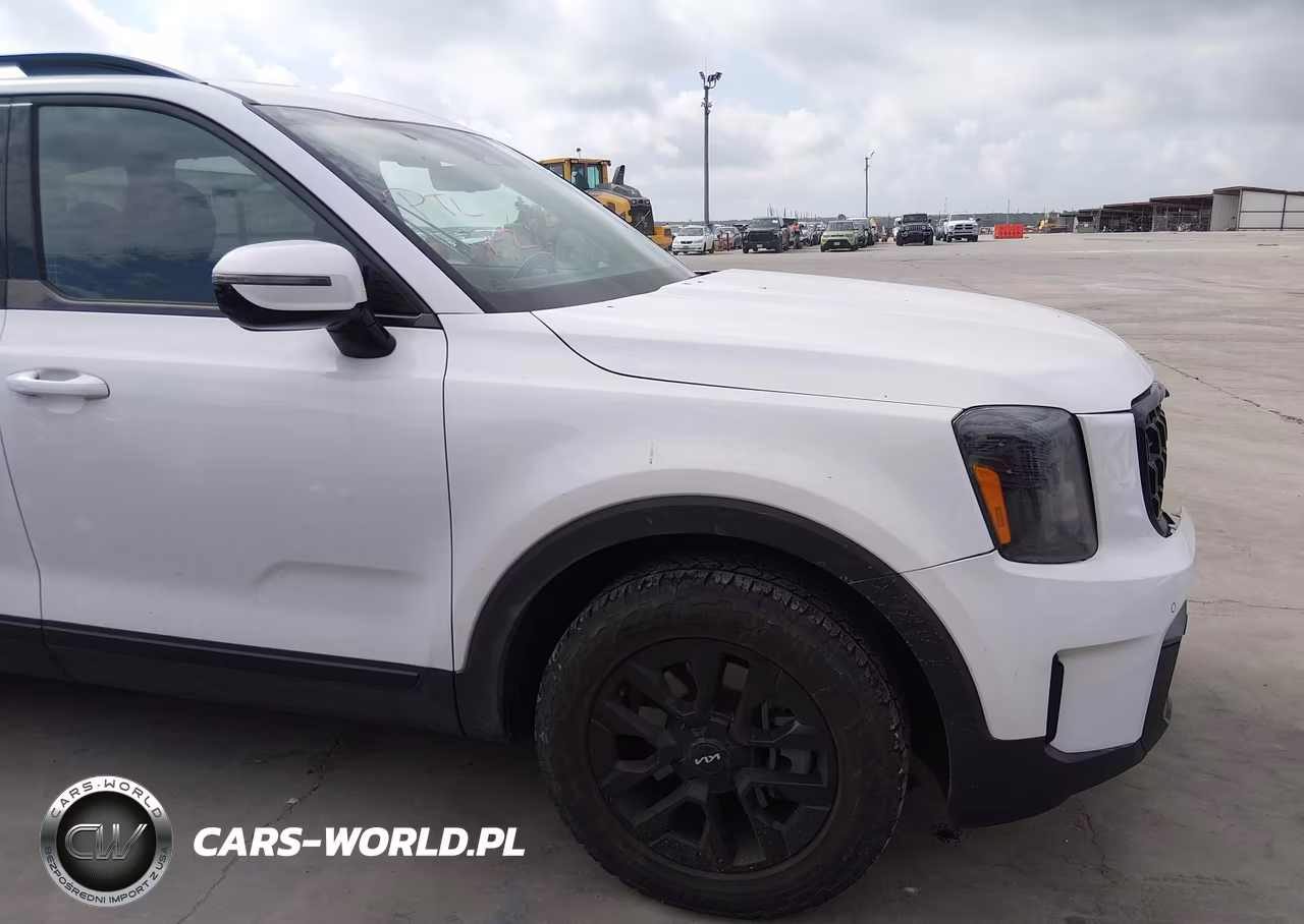 2024 Kia Telluride Sx Prestige X-Pro VIN:5XYP5DGC2RG497860 - 17