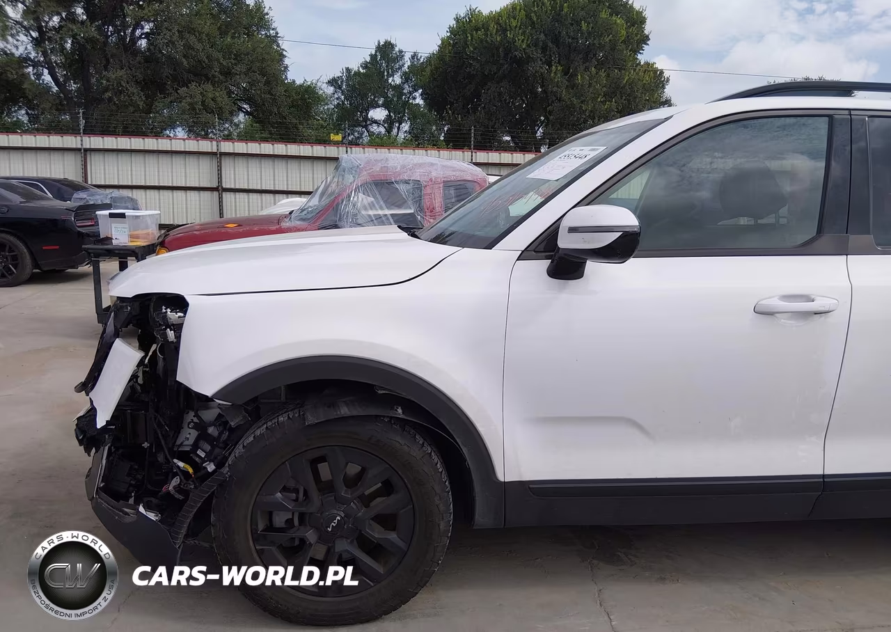 2024 Kia Telluride Sx Prestige X-Pro VIN:5XYP5DGC2RG497860 - 18