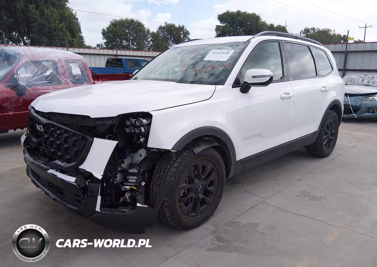 2024 Kia Telluride Sx Prestige X-Pro VIN:5XYP5DGC2RG497860 - 2