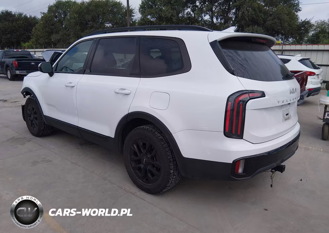 2024 Kia Telluride Sx Prestige X-Pro VIN:5XYP5DGC2RG497860 - 3