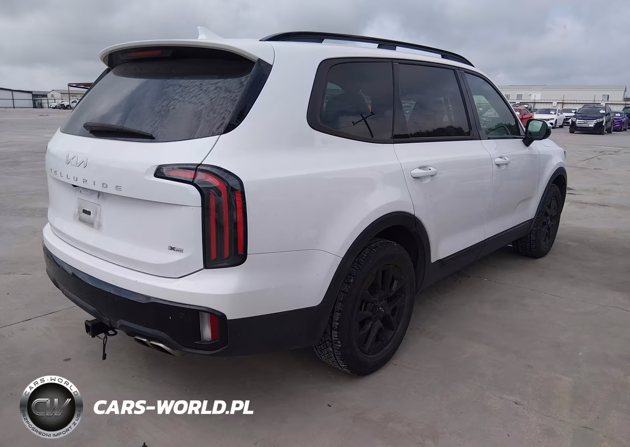 2024 Kia Telluride Sx Prestige X-Pro VIN:5XYP5DGC2RG497860 - 4