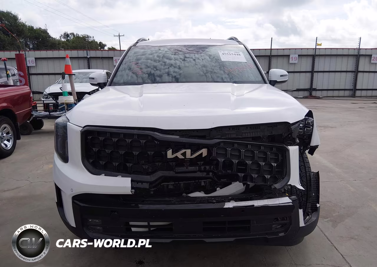 2024 Kia Telluride Sx Prestige X-Pro VIN:5XYP5DGC2RG497860 - 6