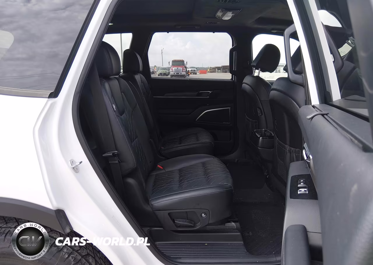 2024 Kia Telluride Sx Prestige X-Pro VIN:5XYP5DGC2RG497860 - 8