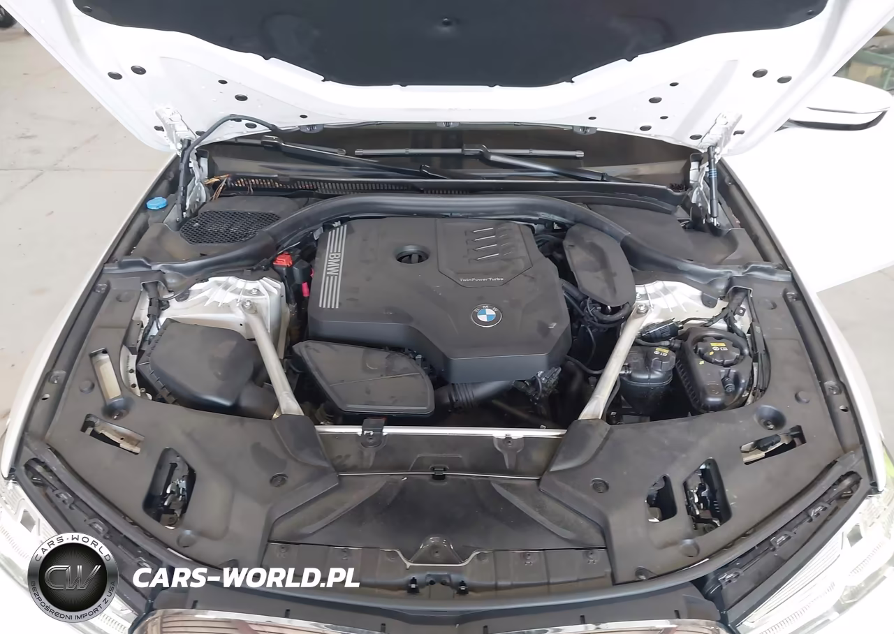 2021 BMW 530I xDrive VIN:WBA13BJ04MWX27132 - 10