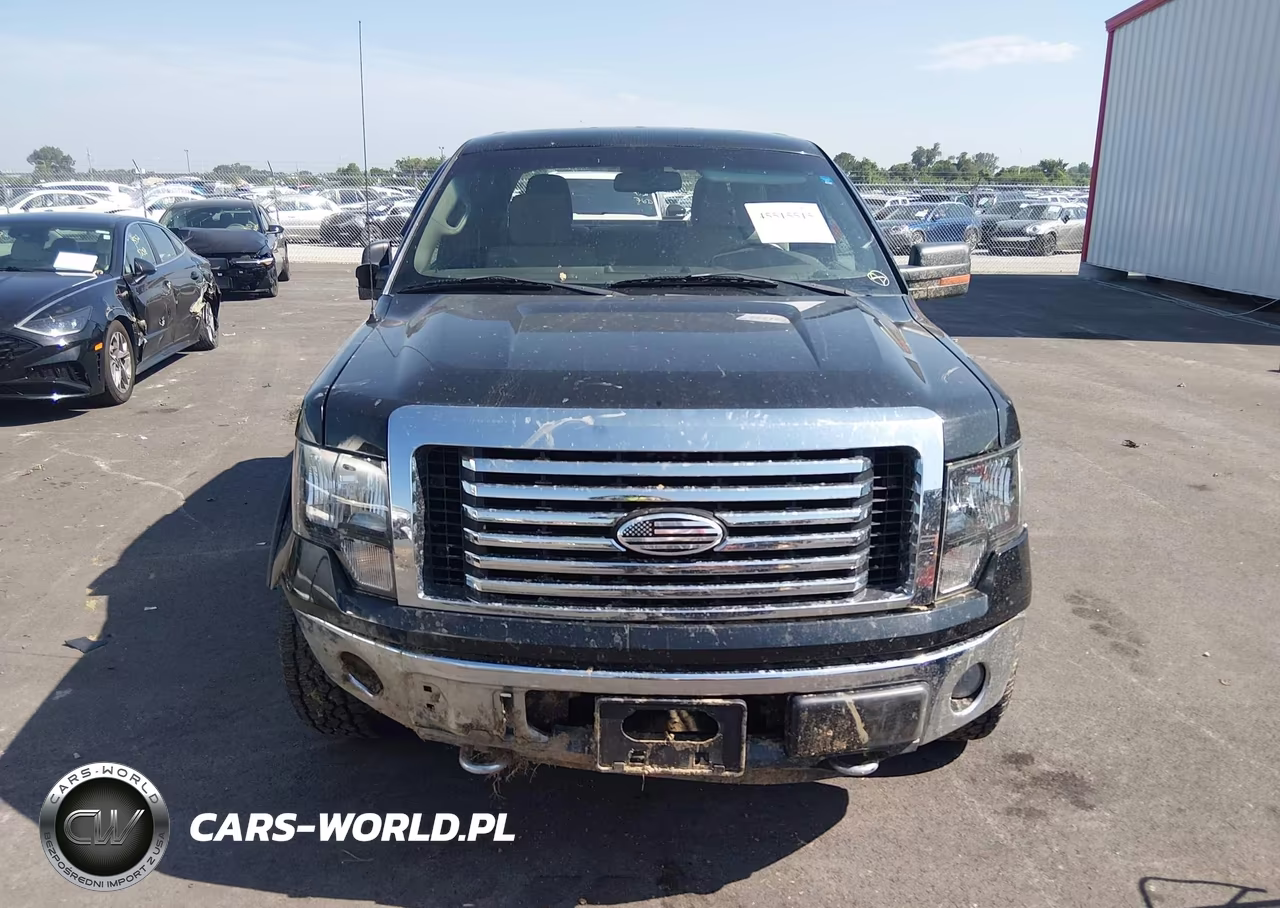 2010 Ford F-150 Xl-Xlt VIN:1FTFW1E82AFC27069 - 13