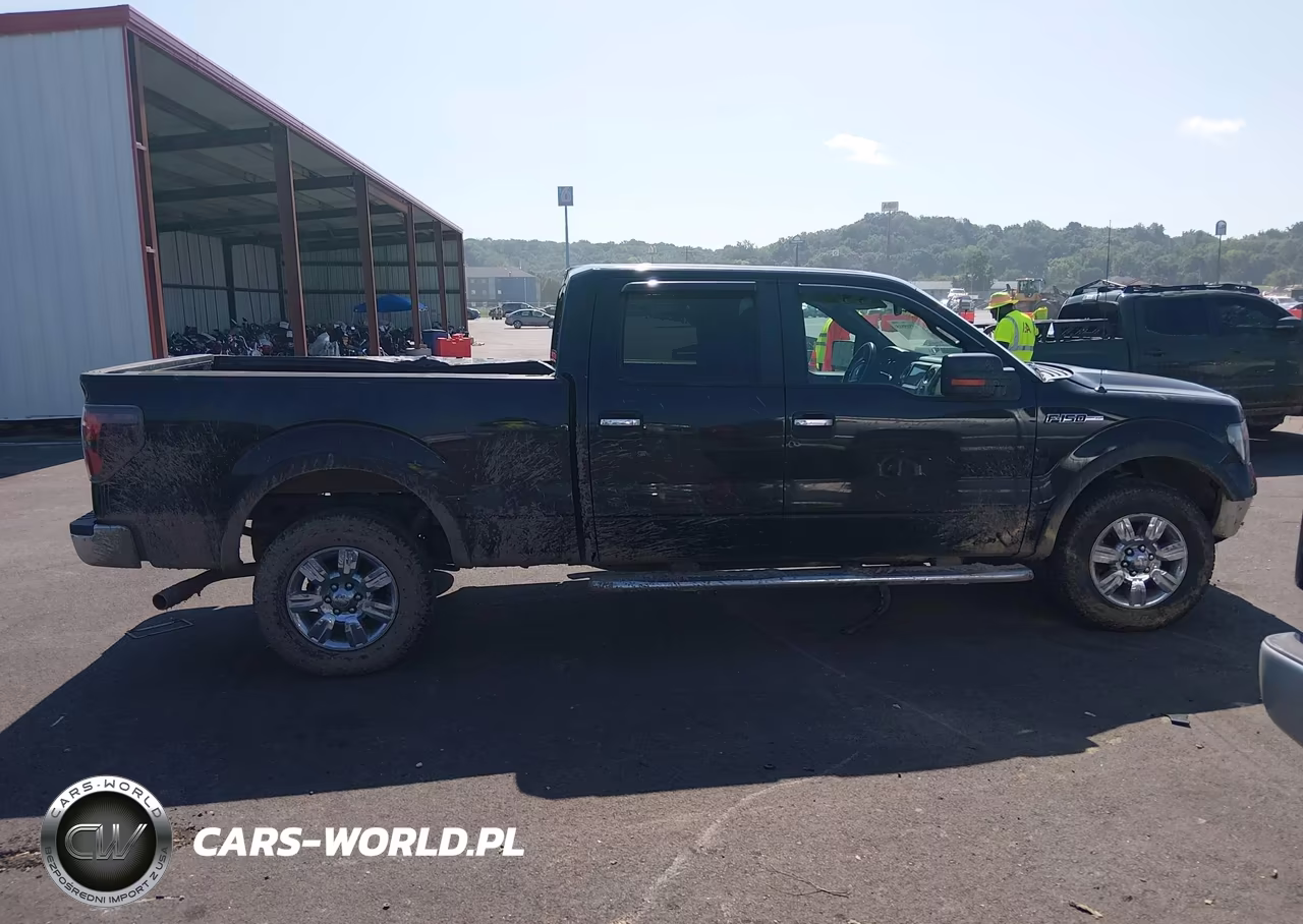 2010 Ford F-150 Xl-Xlt VIN:1FTFW1E82AFC27069 - 14