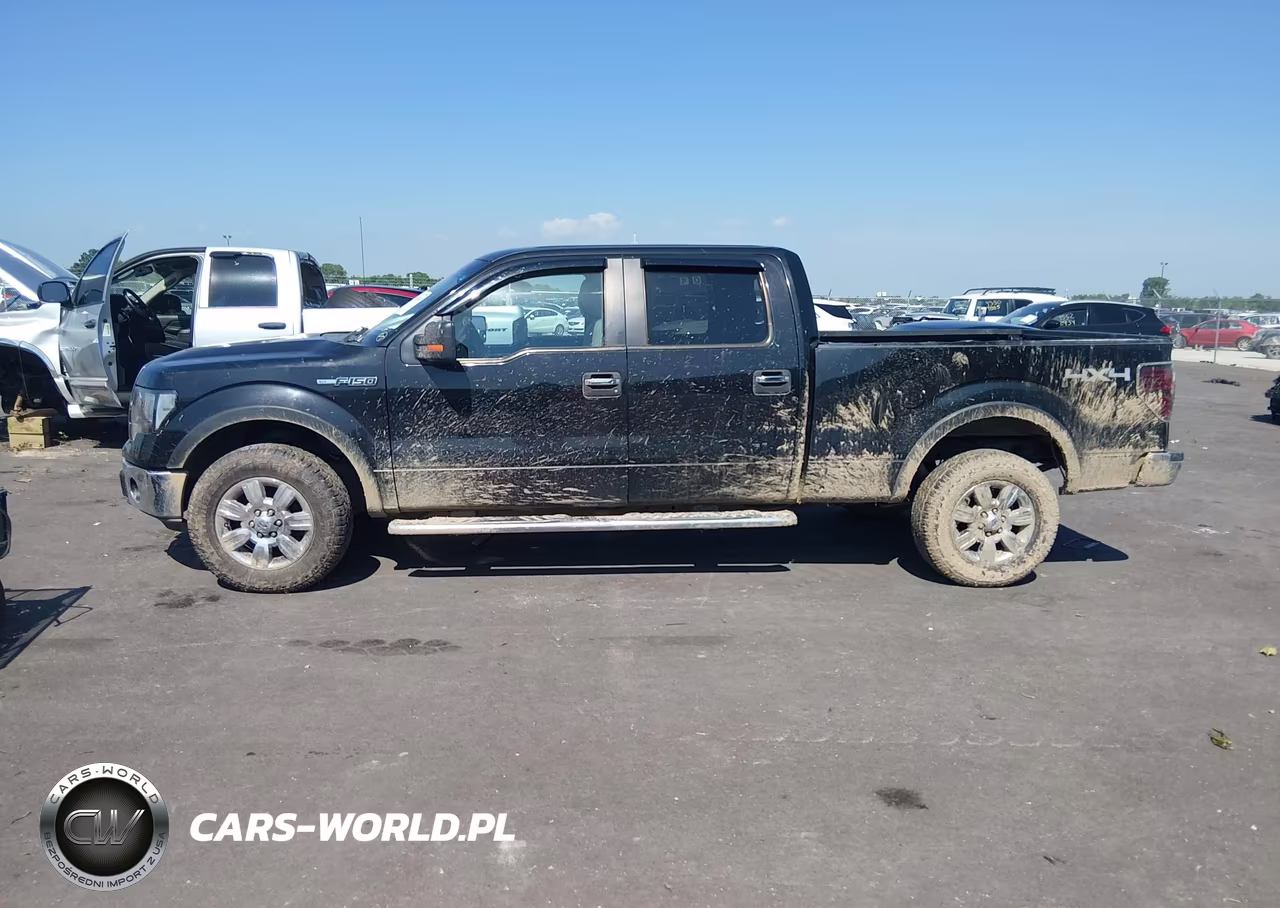 2010 Ford F-150 Xl-Xlt VIN:1FTFW1E82AFC27069 - 15