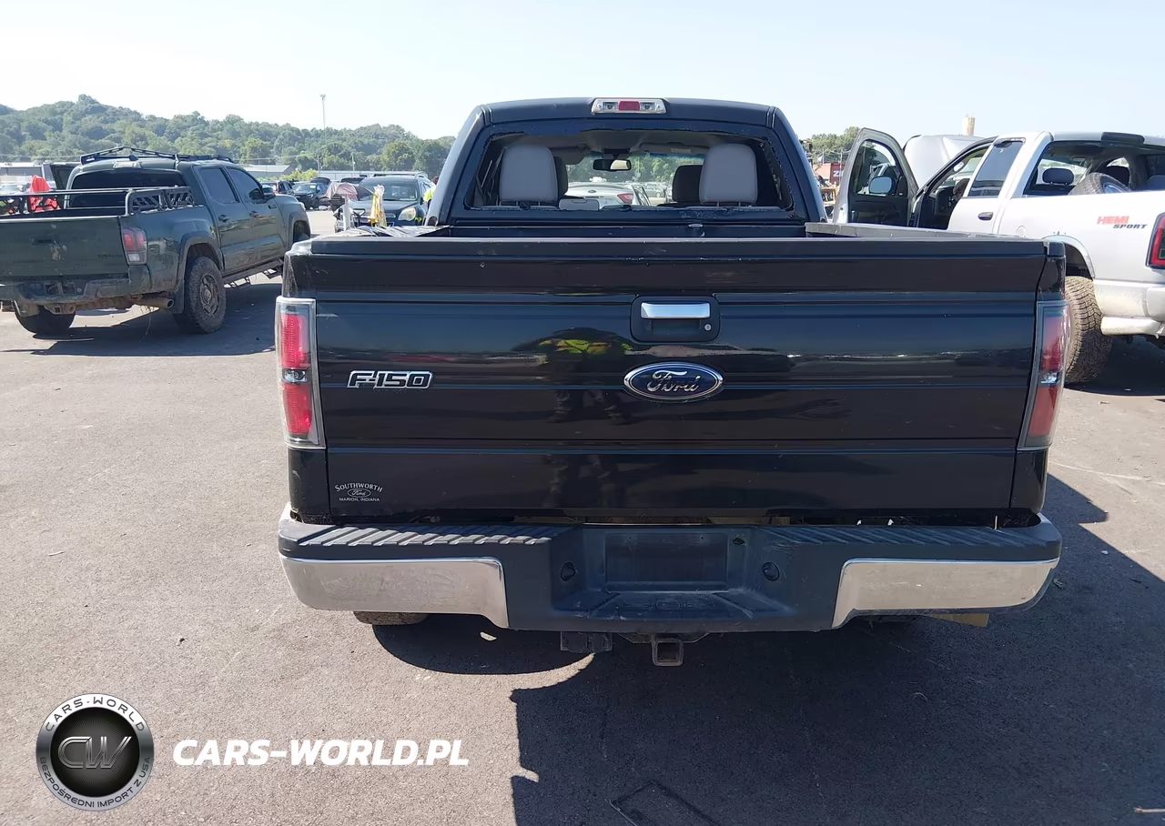 2010 Ford F-150 Xl-Xlt VIN:1FTFW1E82AFC27069 - 17