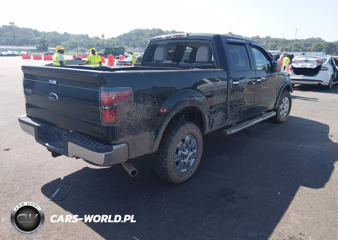 2010 Ford F-150 Xl-Xlt VIN:1FTFW1E82AFC27069 - 2
