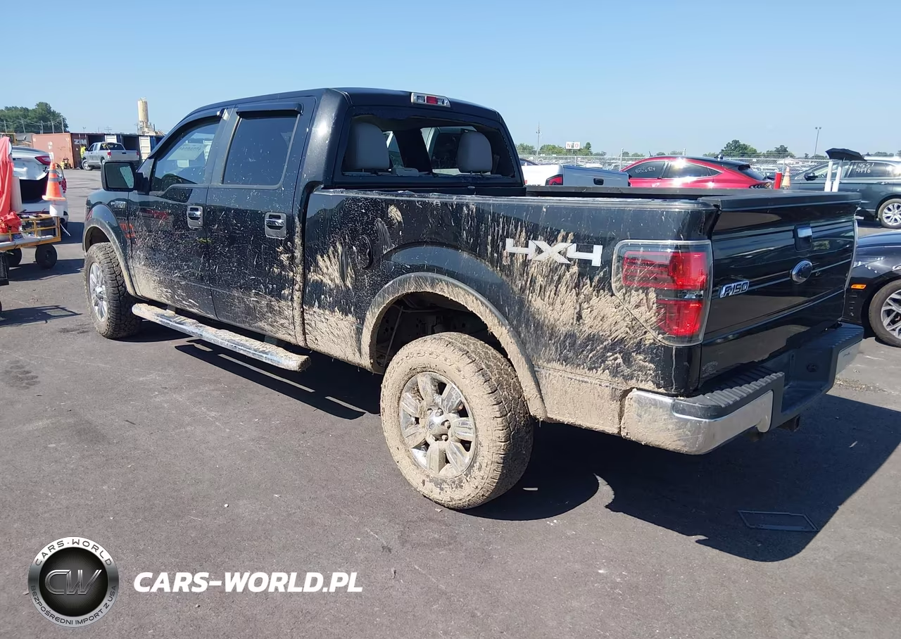 2010 Ford F-150 Xl-Xlt VIN:1FTFW1E82AFC27069 - 3