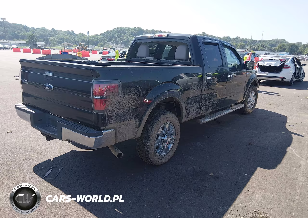 2010 Ford F-150 Xl-Xlt VIN:1FTFW1E82AFC27069 - 4