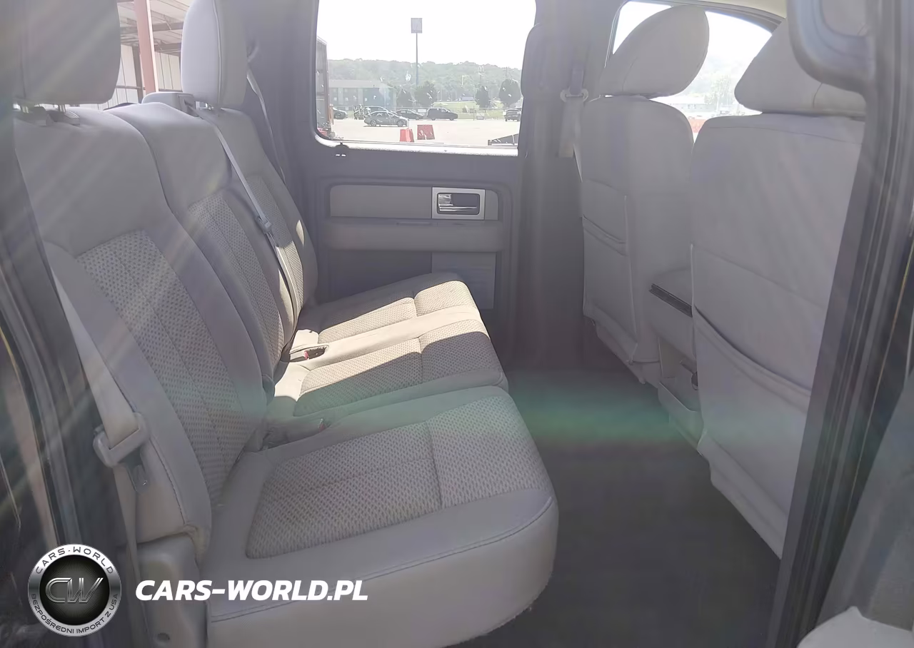 2010 Ford F-150 Xl-Xlt VIN:1FTFW1E82AFC27069 - 8