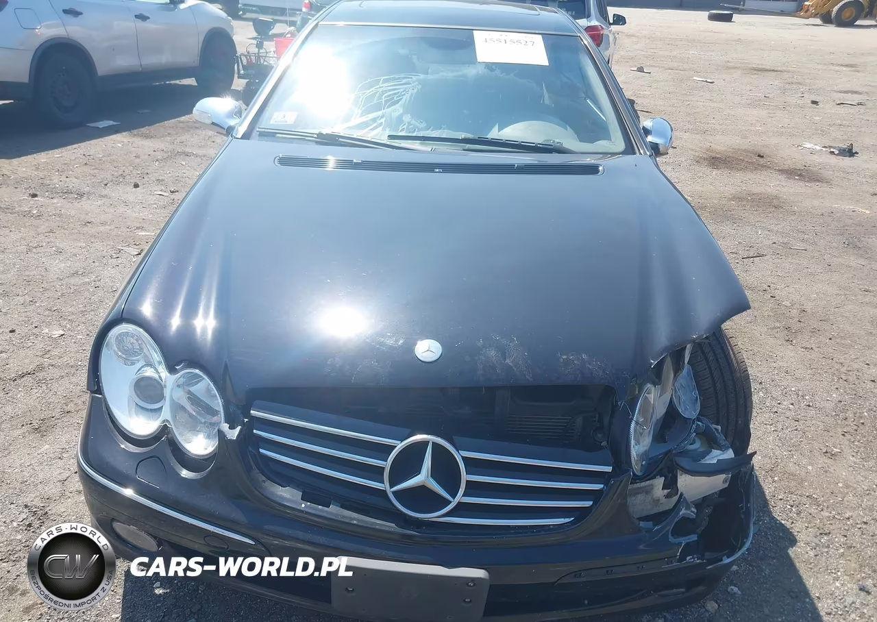 2004 Mercedes-Benz Clk 500 VIN:WDBTJ75J84F103236 - 10