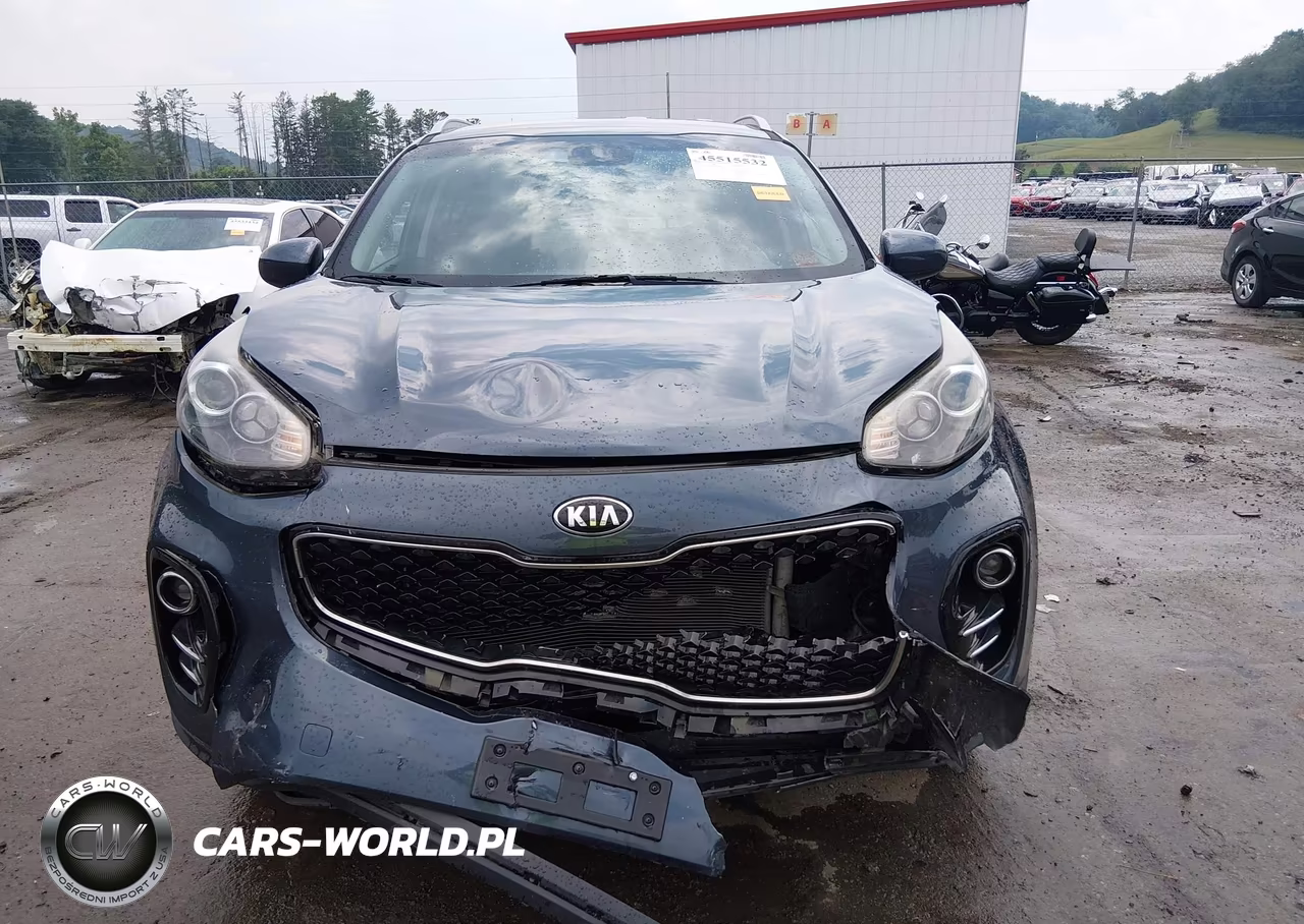 2019 Kia Sportage Lx VIN:KNDPMCAC6K7550908 - 12