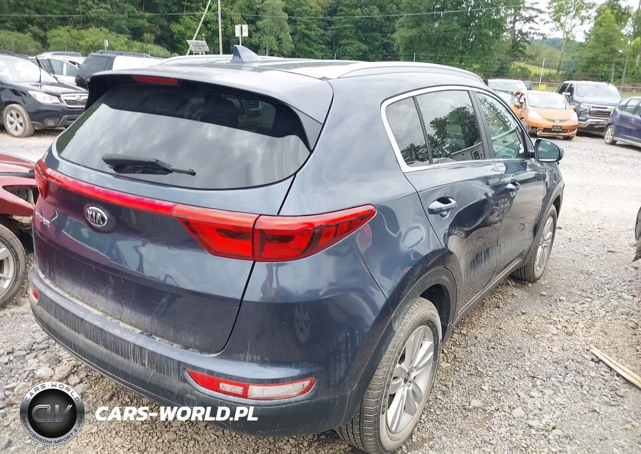 2019 Kia Sportage Lx VIN:KNDPMCAC6K7550908 - 4