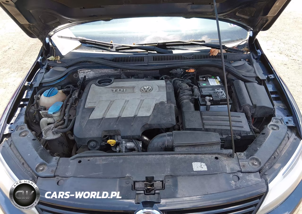 2014 Volkswagen Jetta 2.0L Tdi Value Edition VIN:3VWLL7AJ0EM271341 - 10