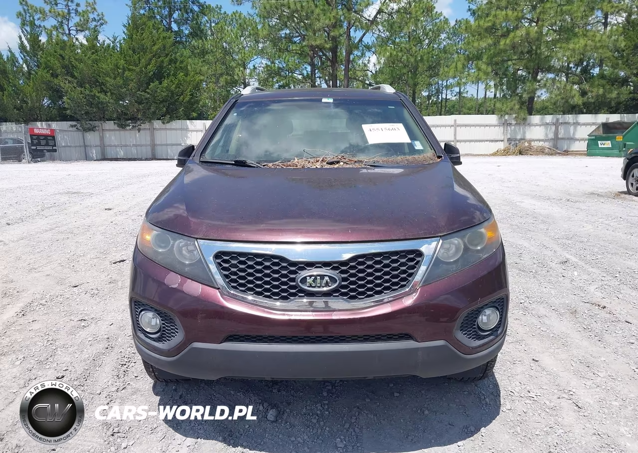 2013 Kia Sorento Lx VIN:5XYKT3A64DG388127 - 6