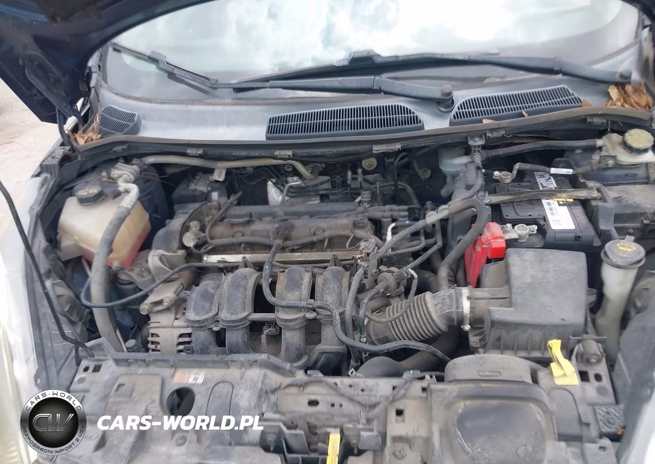 2016 Ford Fiesta Se VIN:3FADP4BJXGM141004 - 10