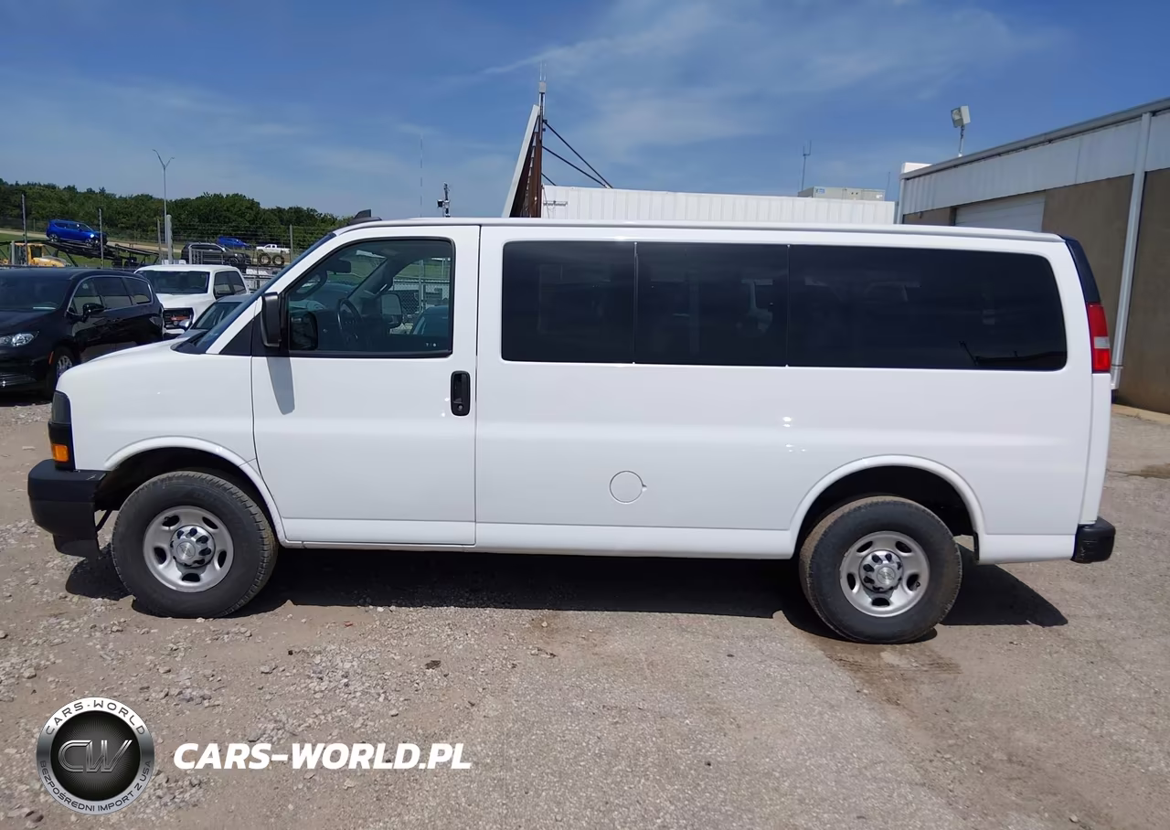 2020 Chevrolet Express Passenger Rwd 2500 Regular Wheelbase Ls VIN:1GAWGEFP9L1255972 - 17
