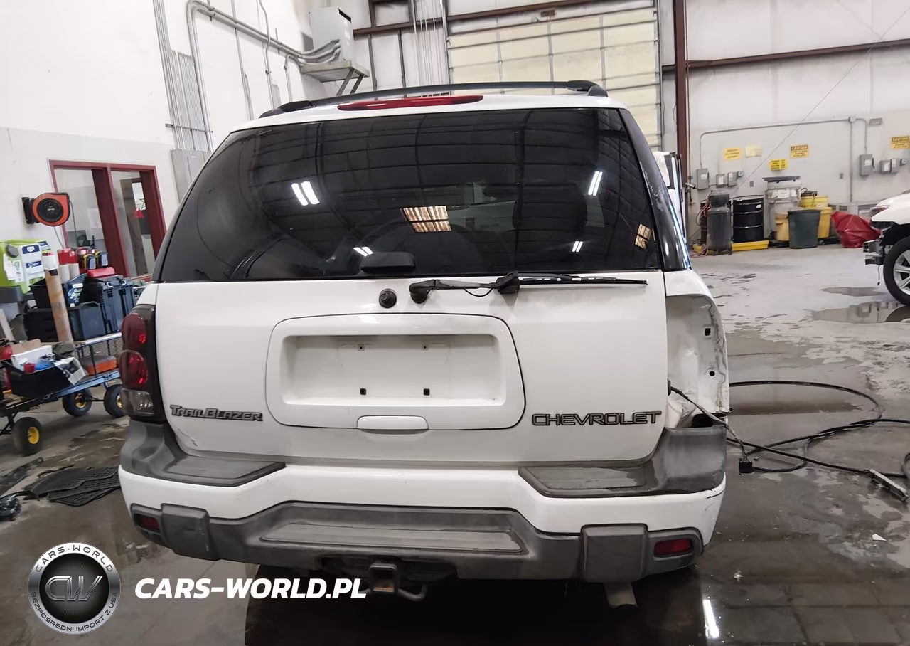 2004 Chevrolet Trailblazer Lt VIN:1GNDT13SX42400743 - 17