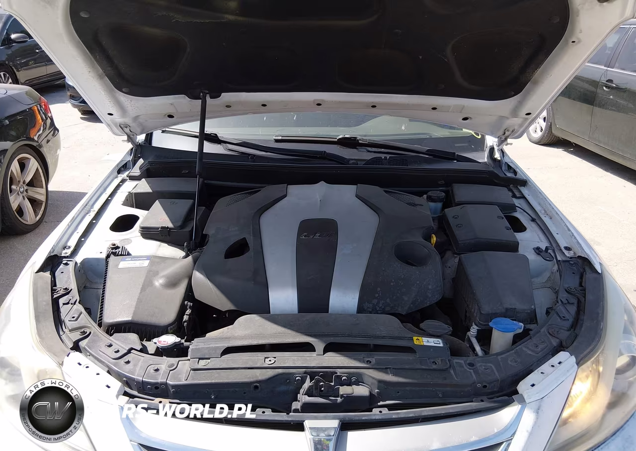 2013 Hyundai Genesis 3.8 VIN:KMHGC4DD2DU258542 - 10