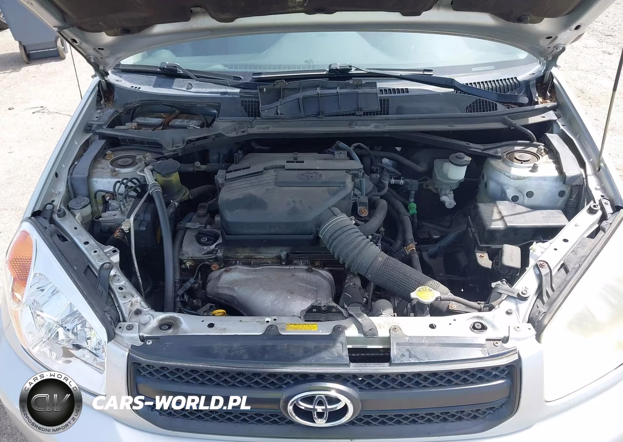 2004 Toyota Rav4 VIN:JTEGD20V840025921 - 10