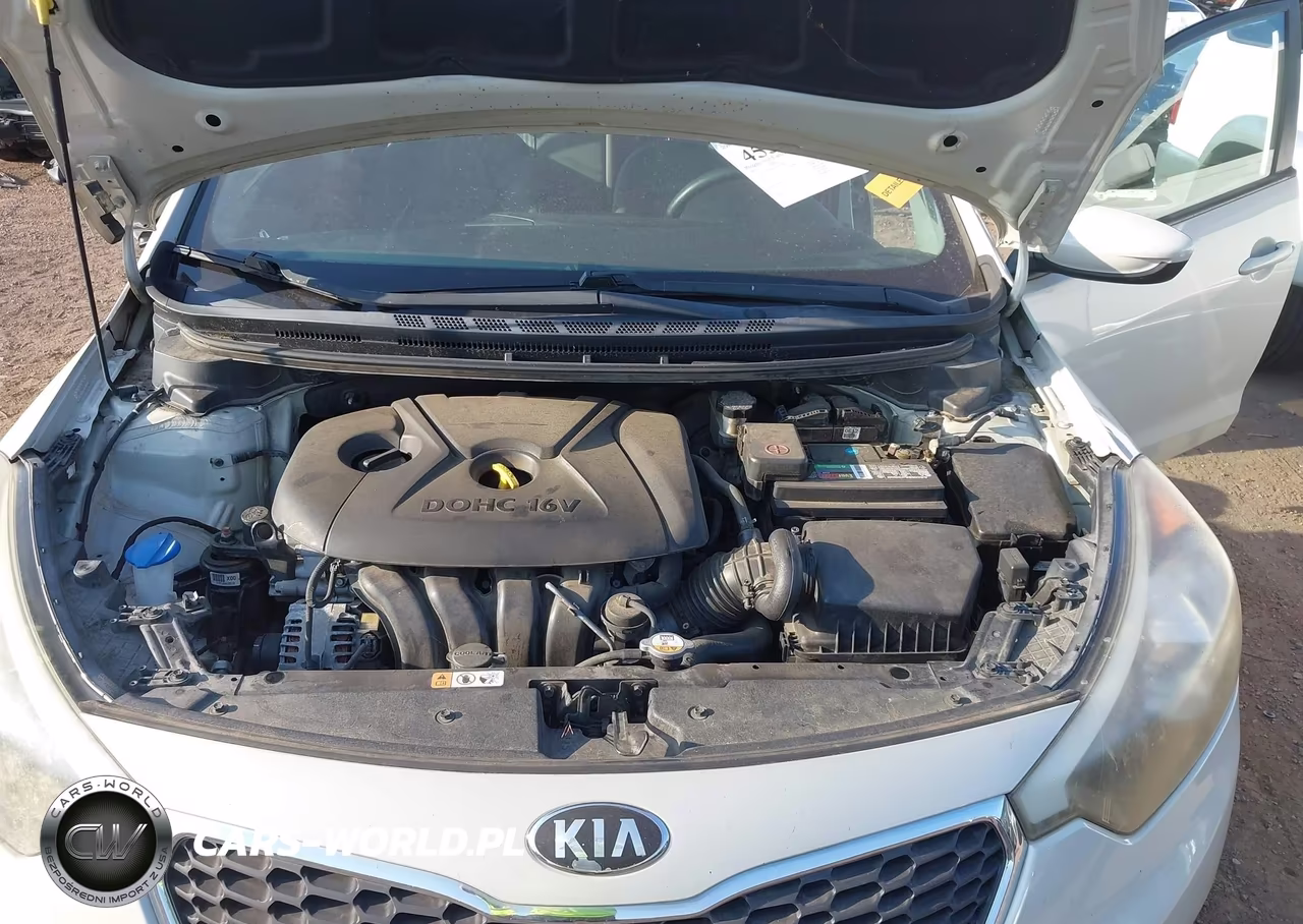 2015 Kia Forte Lx VIN:KNAFK4A63F5292198 - 10