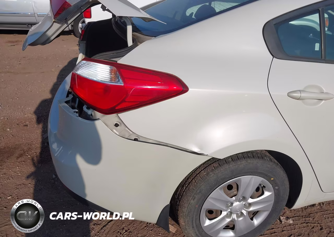 2015 Kia Forte Lx VIN:KNAFK4A63F5292198 - 12