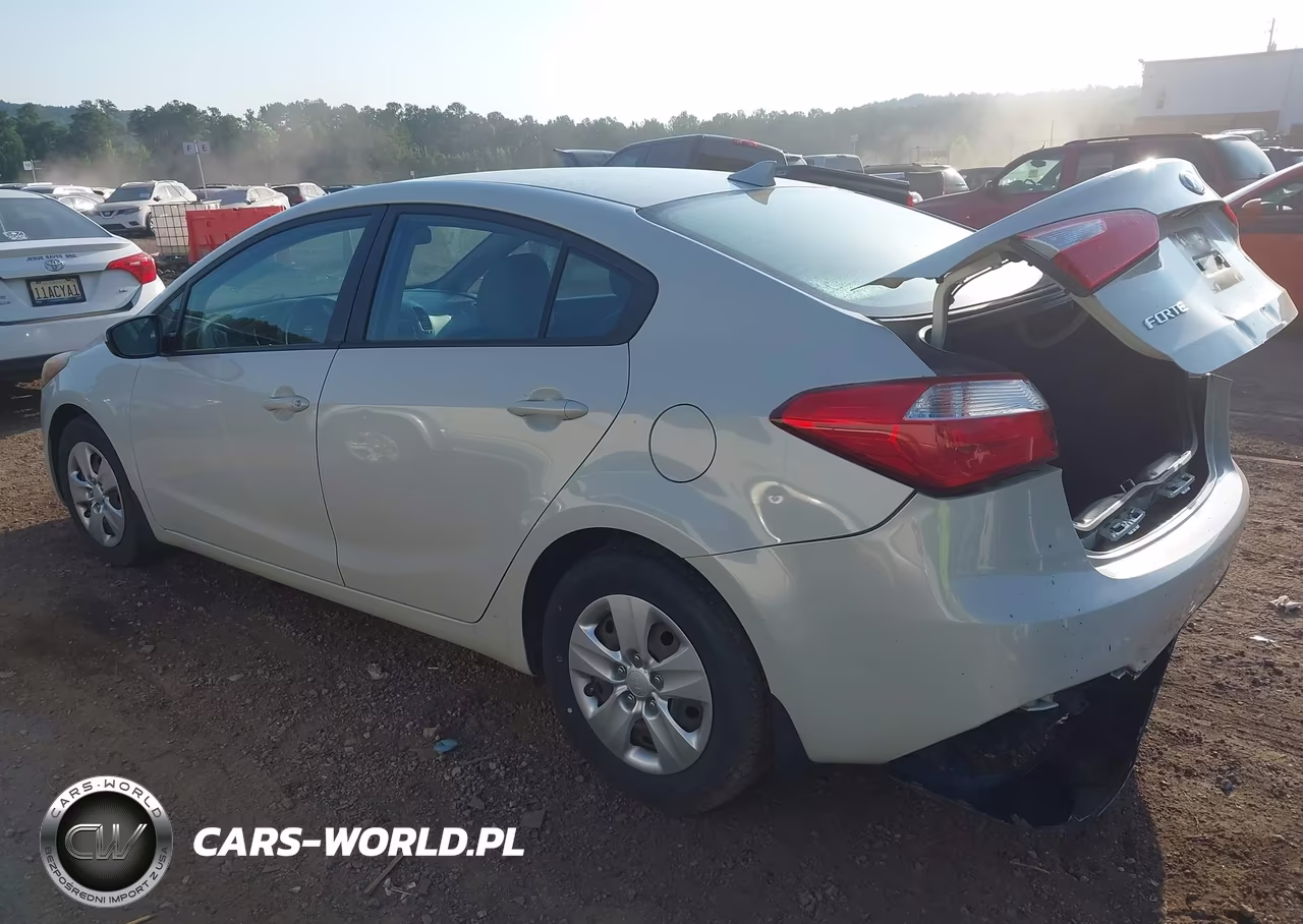 2015 Kia Forte Lx VIN:KNAFK4A63F5292198 - 3