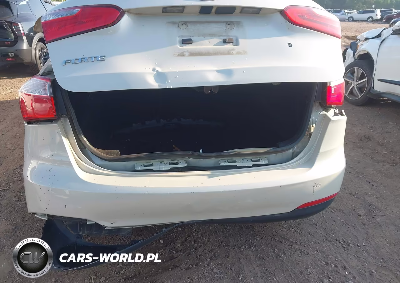 2015 Kia Forte Lx VIN:KNAFK4A63F5292198 - 6