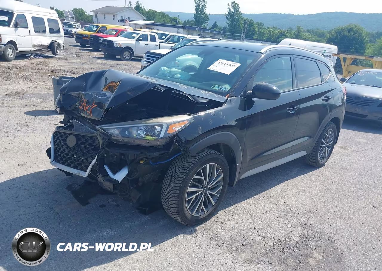 2019 Hyundai Tucson Sel VIN:KM8J3CAL5KU071546 - 2