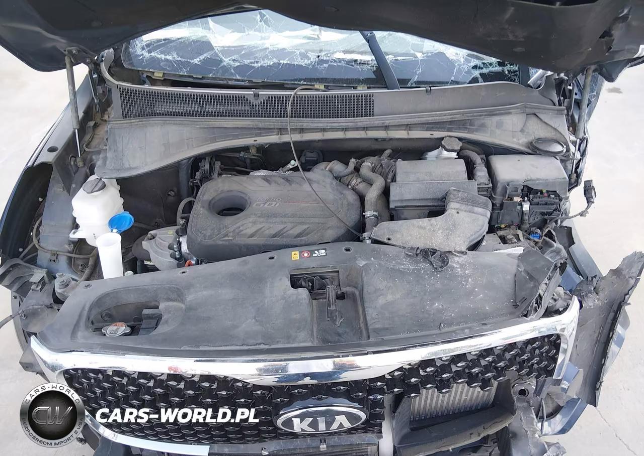 2016 Kia Sorento 2.0T Ex VIN:5XYPH4A1XGG021254 - 10