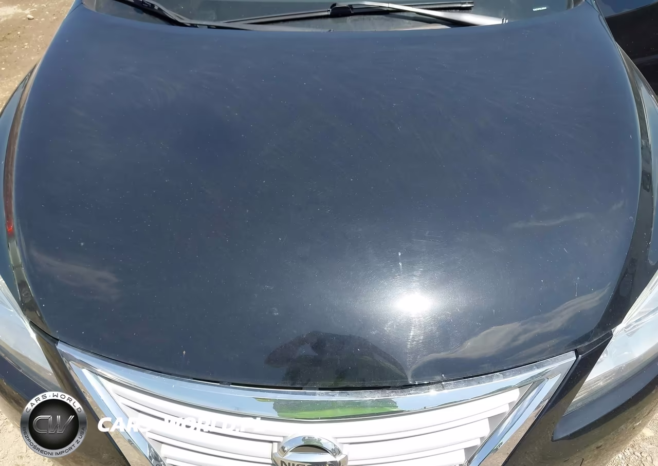 2014 Nissan Sentra Sv VIN:3N1AB7AP5EL658042 - 10