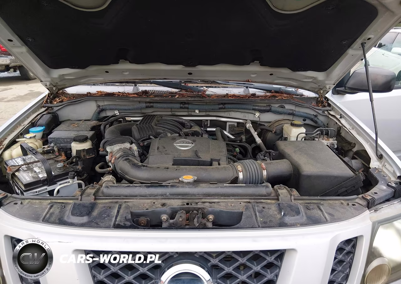 2009 Nissan Xterra S VIN:5N1AN08W69C511606 - 10