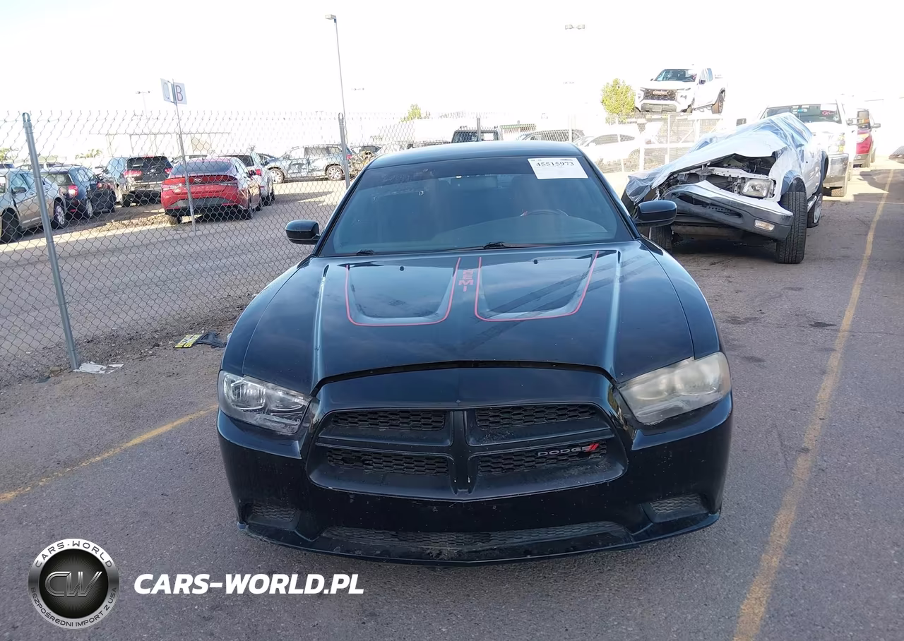 2014 Dodge Charger Police VIN:2C3CDXAT8EH133051 - 12