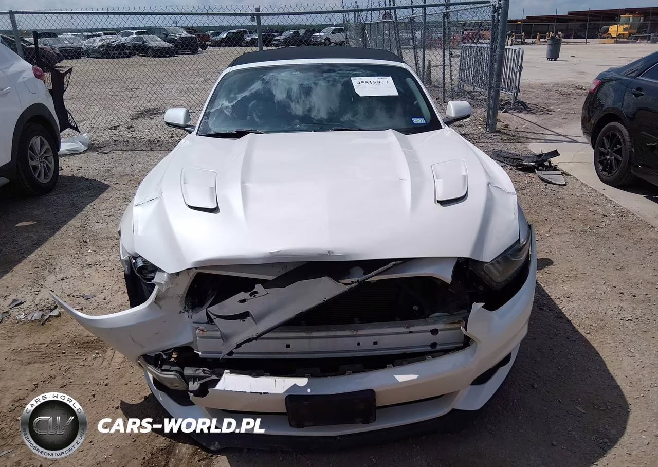 2017 Ford Mustang Gt Premium VIN:1FATP8FF2H5213488 - 12