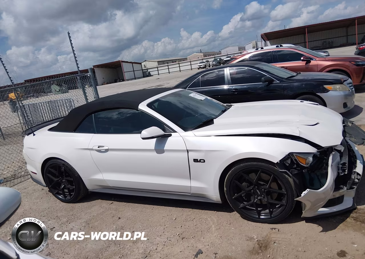 2017 Ford Mustang Gt Premium VIN:1FATP8FF2H5213488 - 13