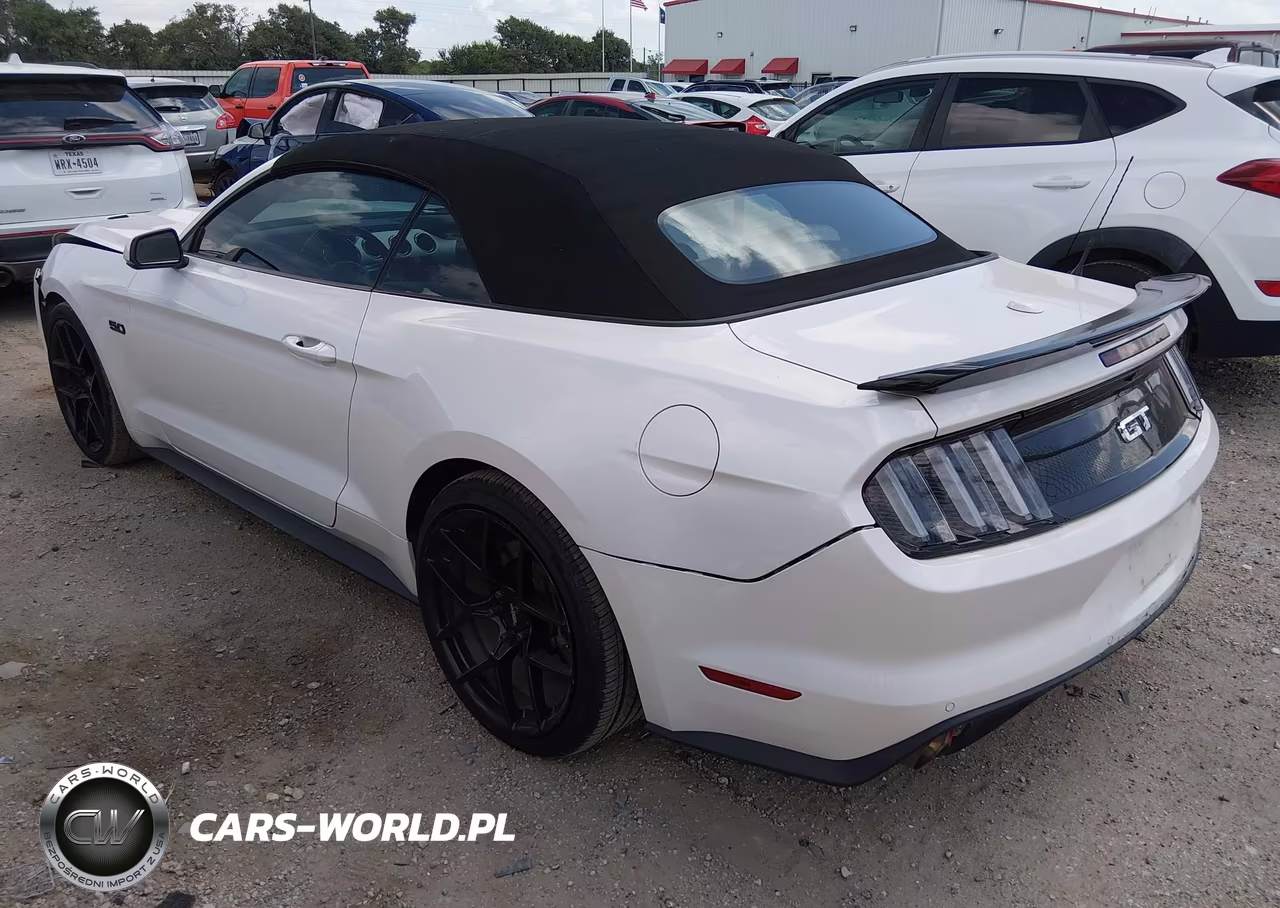 2017 Ford Mustang Gt Premium VIN:1FATP8FF2H5213488 - 3