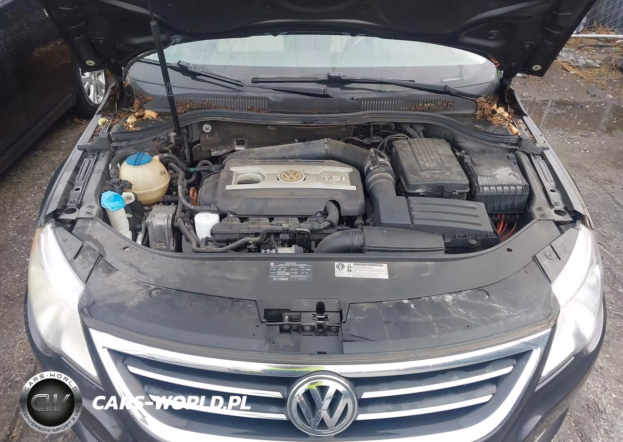 2010 Volkswagen Cc Sport VIN:WVWMN7AN6AE544707 - 10