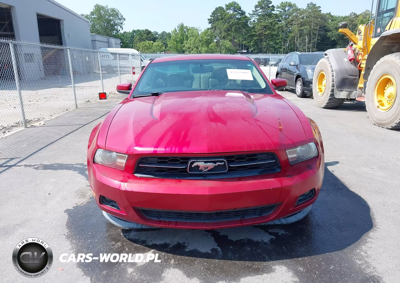 2011 Ford Mustang V6 Premium VIN:1ZVBP8AMXB5144503 - 10