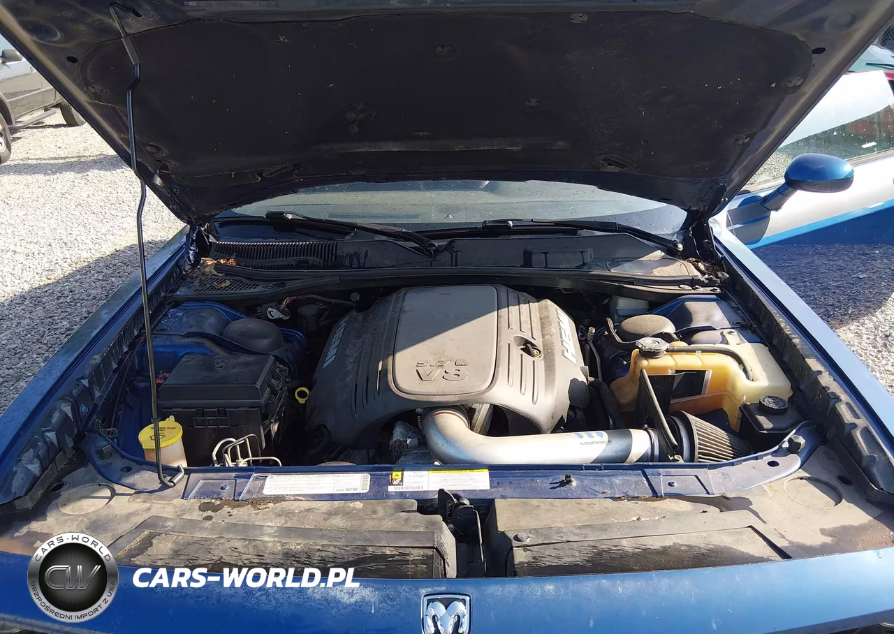 2010 Dodge Challenger R-T VIN:2B3CJ5DT1AH137152 - 10