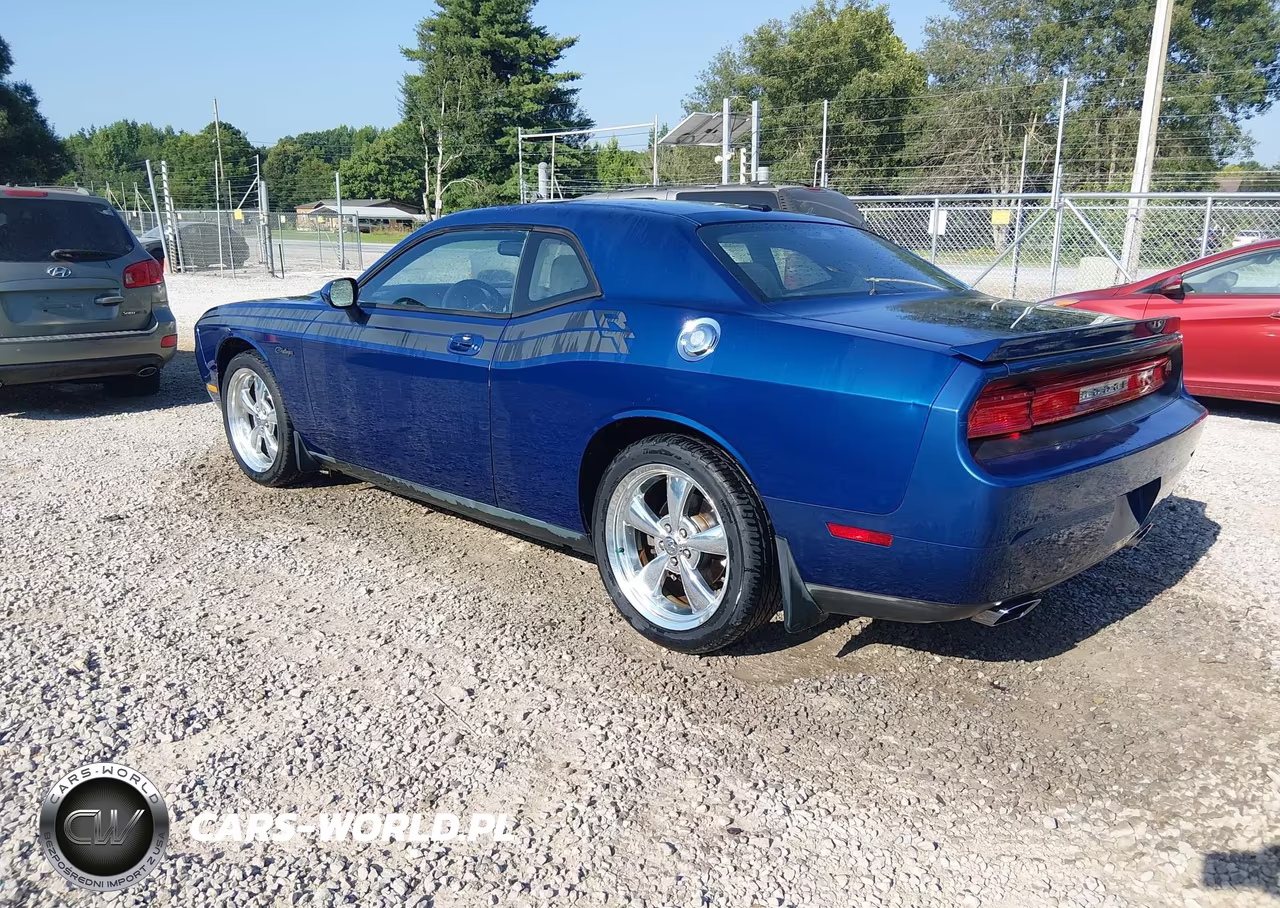 2010 Dodge Challenger R-T VIN:2B3CJ5DT1AH137152 - 3