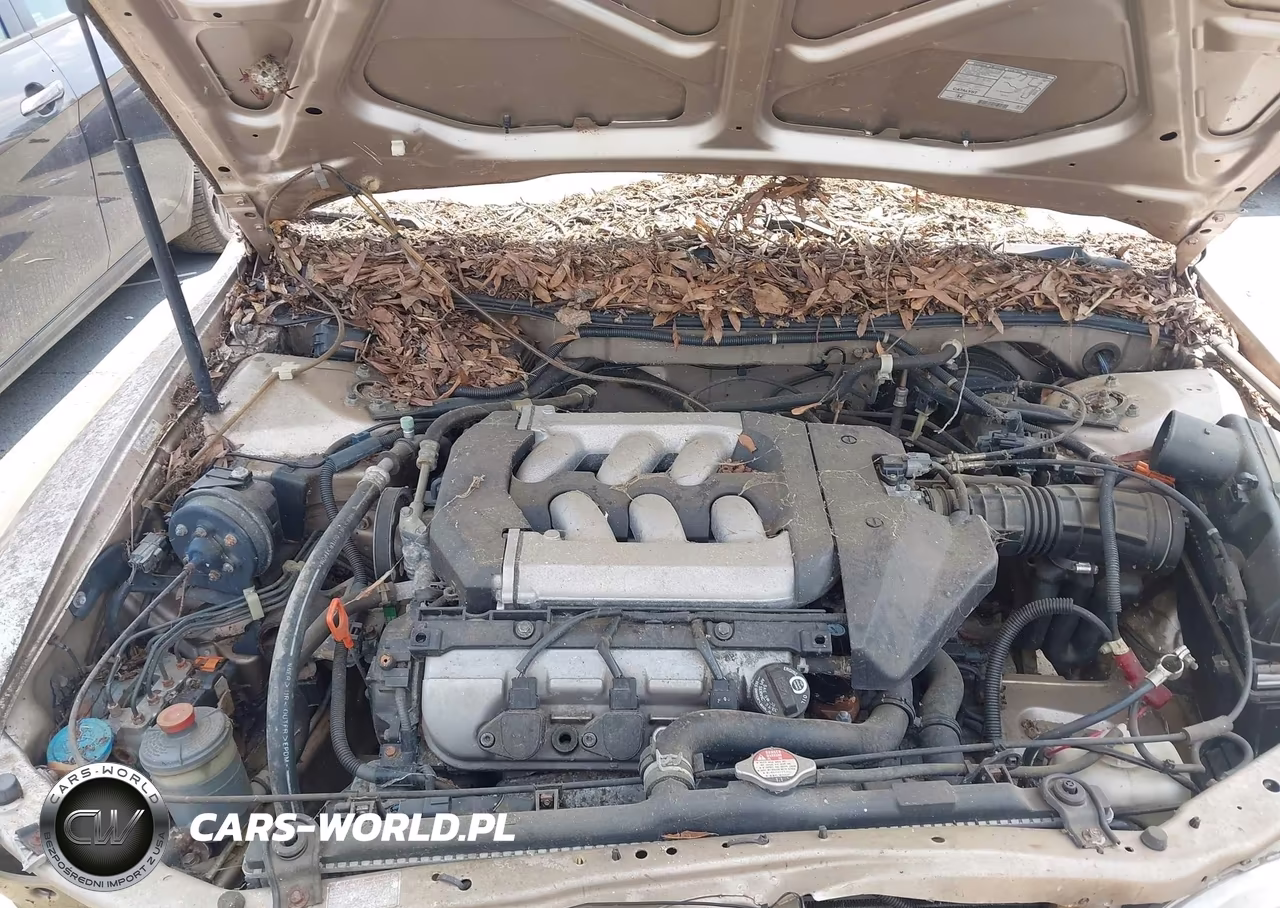 2000 Honda Accord 3.0 Ex VIN:1HGCG1654YA002391 - 10