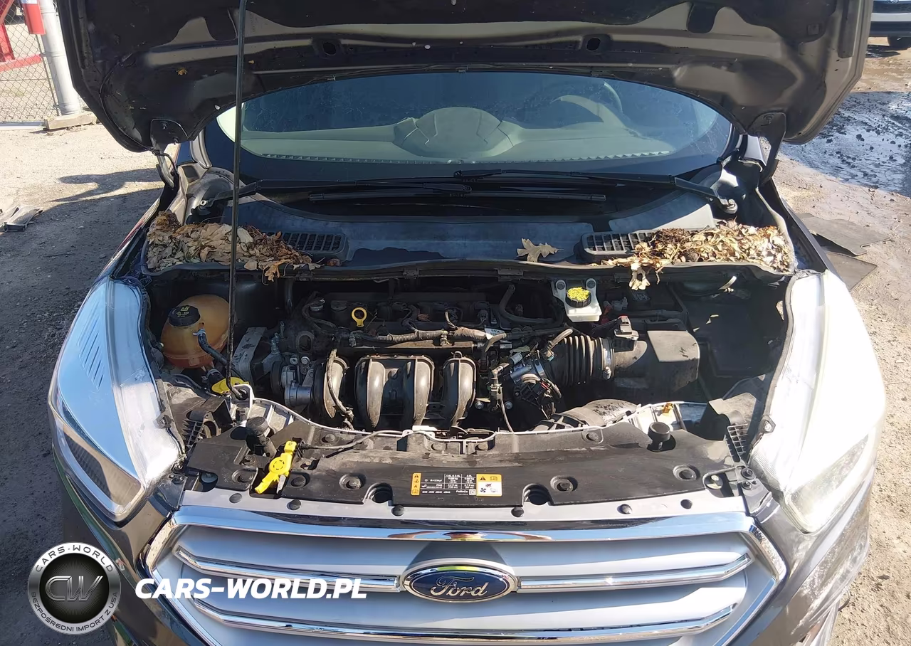 2017 Ford Escape S VIN:1FMCU0F73HUC10758 - 10
