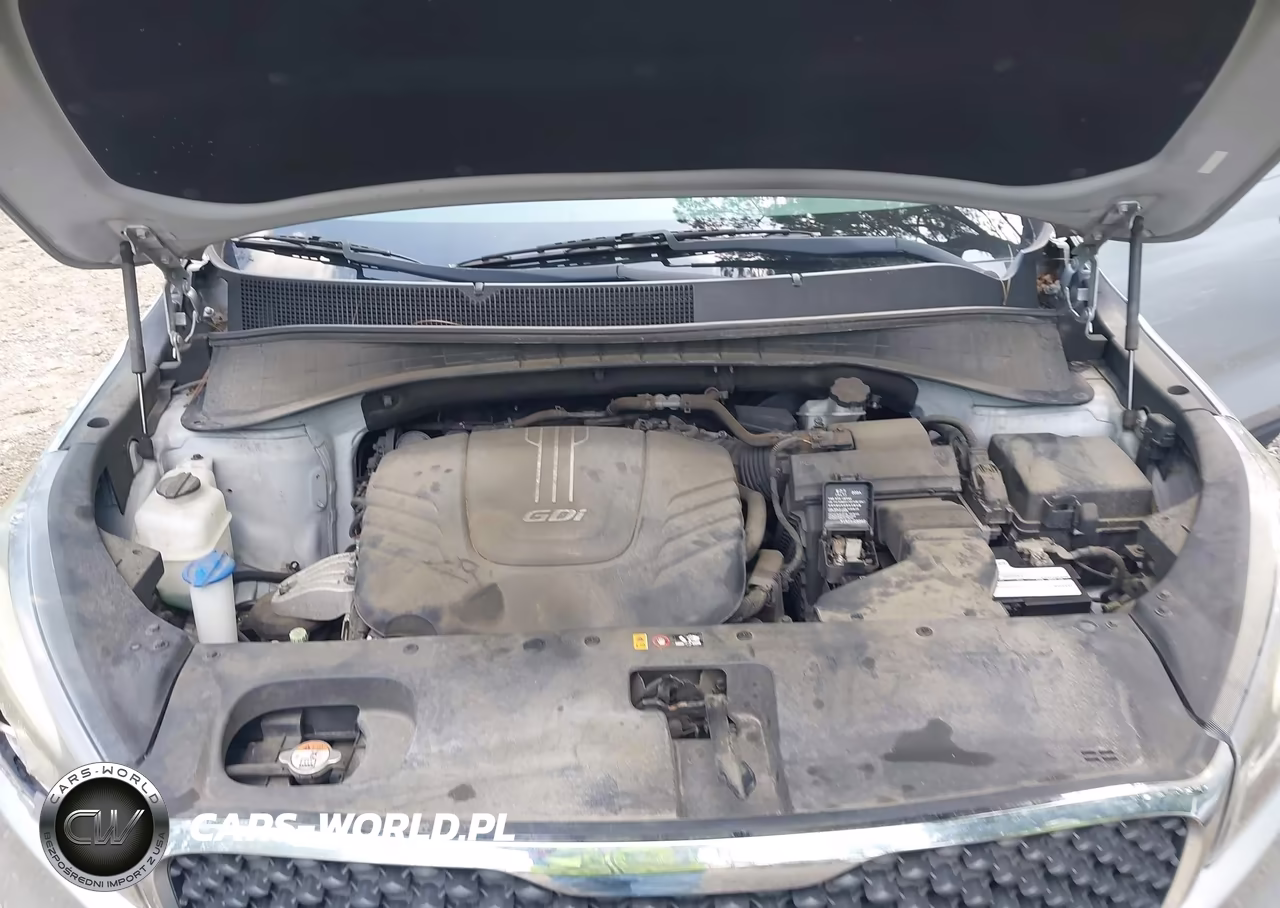 2016 Kia Sorento 3.3L Lx VIN:5XYPG4A58GG120404 - 10