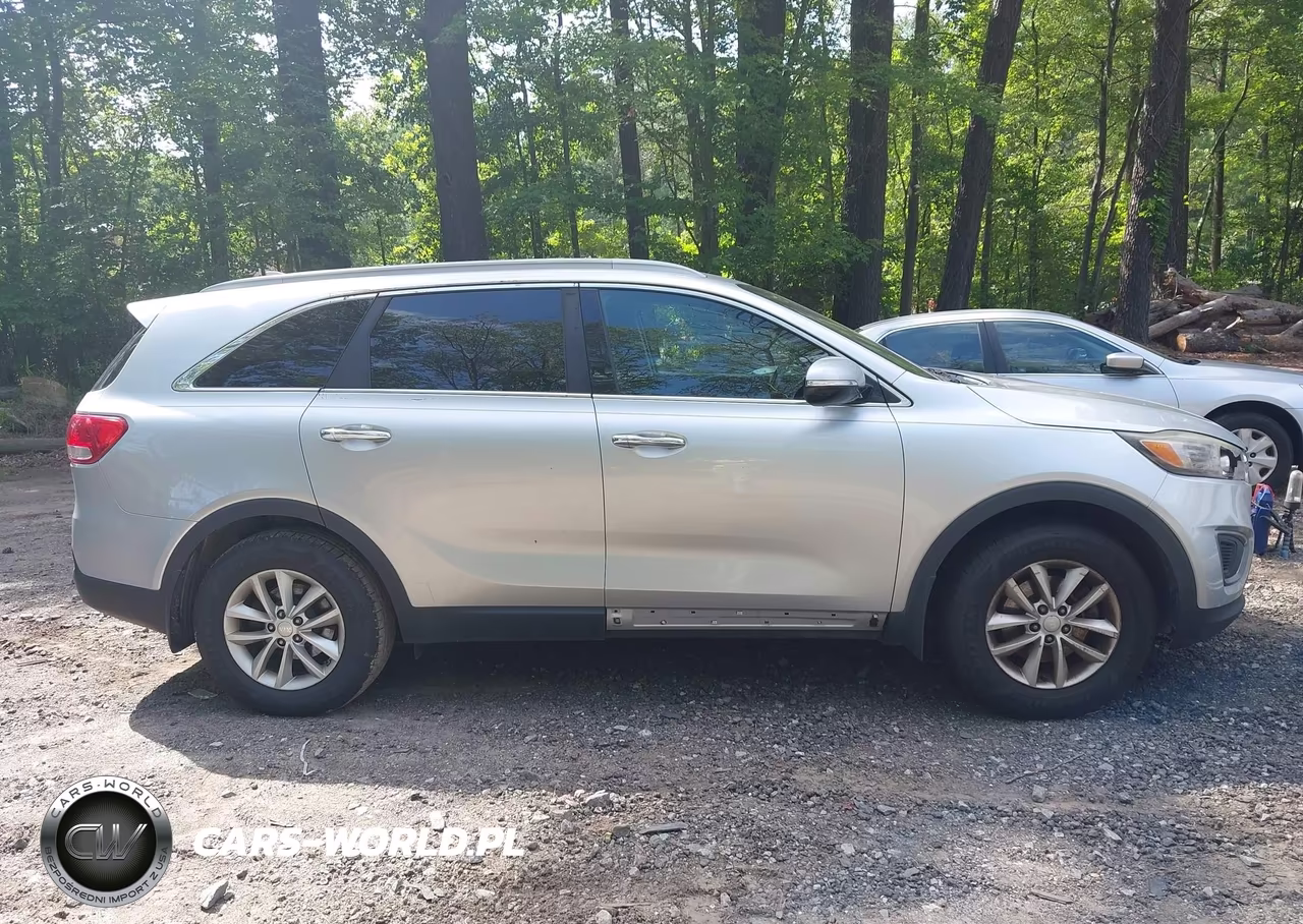 2016 Kia Sorento 3.3L Lx VIN:5XYPG4A58GG120404 - 13